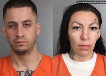 Two Arrested in Stolen Bulldog Case, One Puppy Still Missing